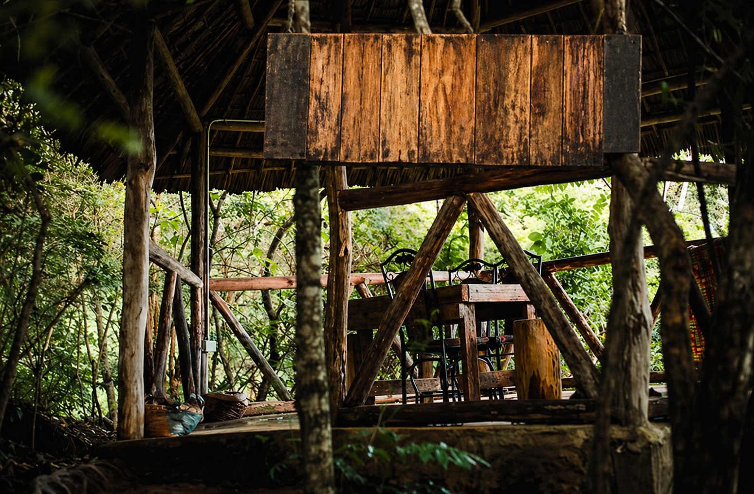 Namata Forest – Contact Us